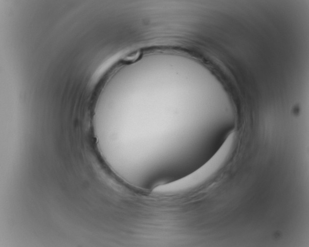 X0000113951069200910161934