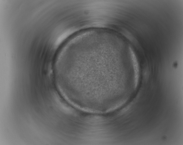 X0000113951070200910161934