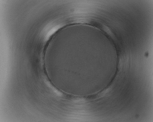 X0000113951071200910161934