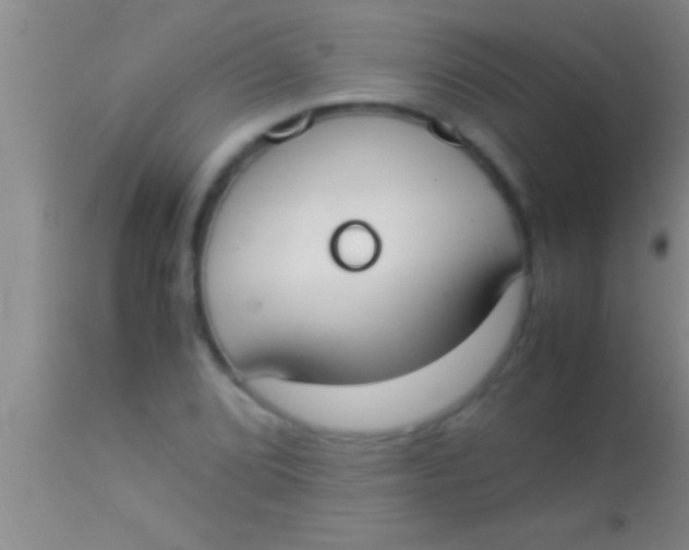 X0000113951072200910161934