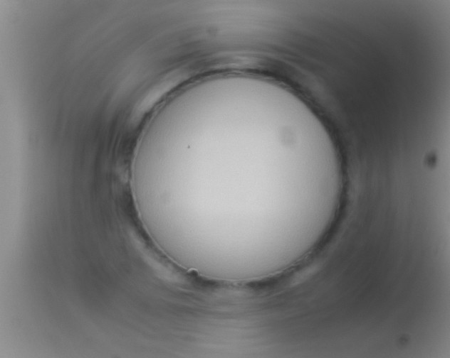 X0000113951073200910161934
