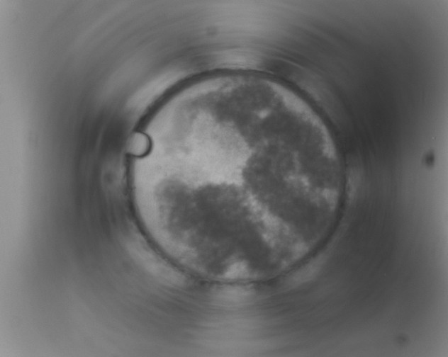 X0000113951074200910161934