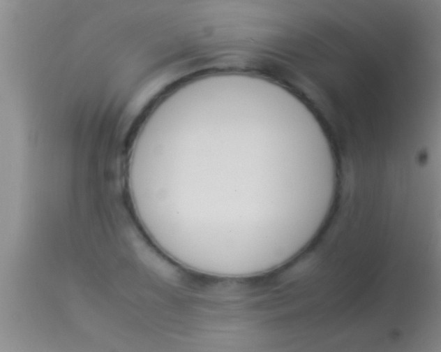 X0000113951075200910161934