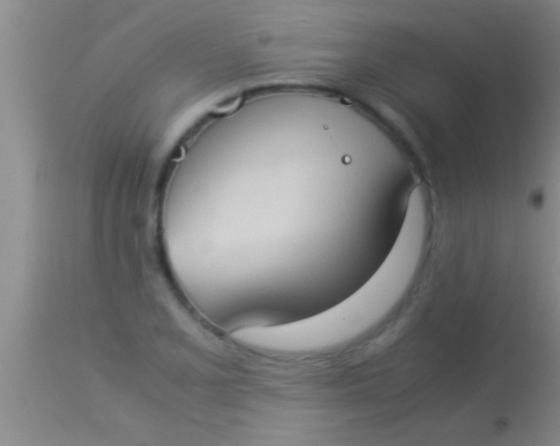 X0000113951077200910161934