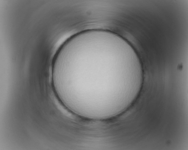 X0000113951079200910161934