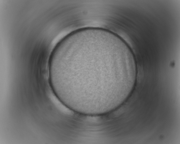 X0000113951080200910161934