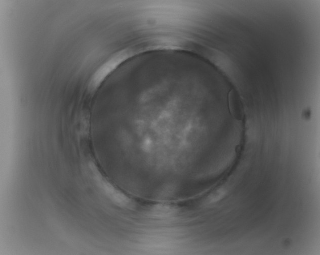 X0000113951081200910161934