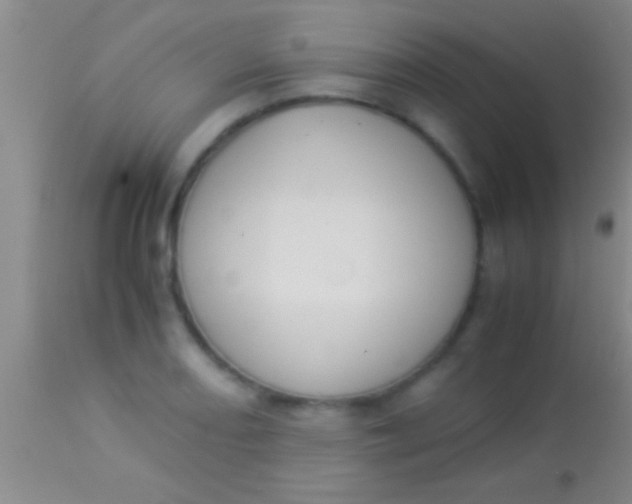 X0000113951082200910161934