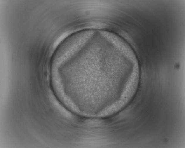 X0000113951083200910161934