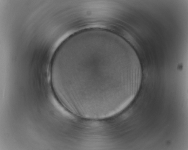 X0000113951084200910161934
