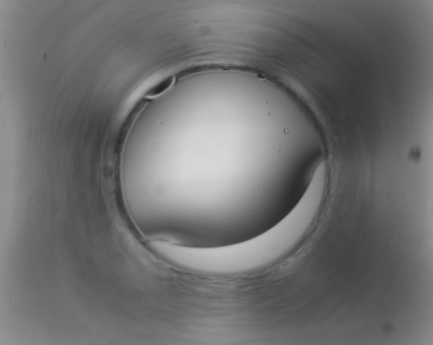 X0000113951085200910161934
