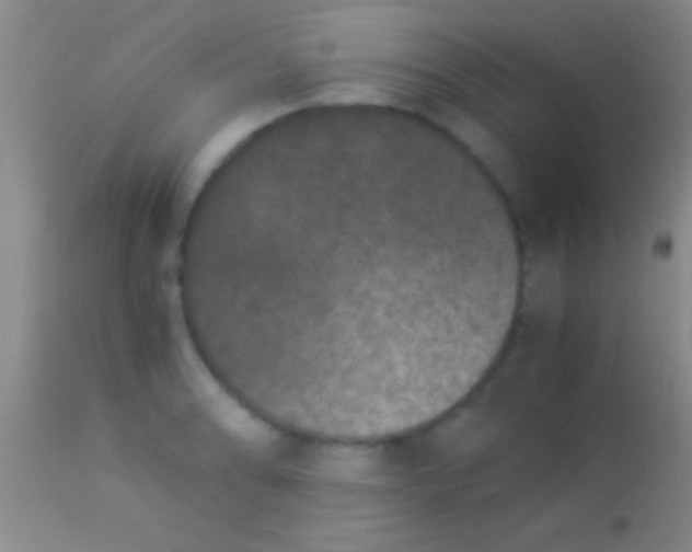 X0000113951086200910161934