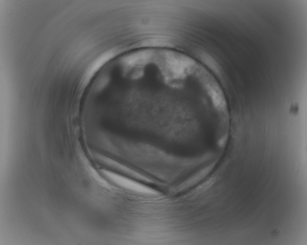 X0000113951087200910161934