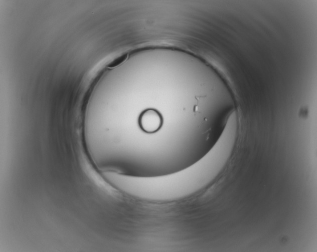 X0000113951088200910161934