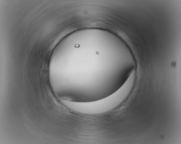 X0000113951089200910161934