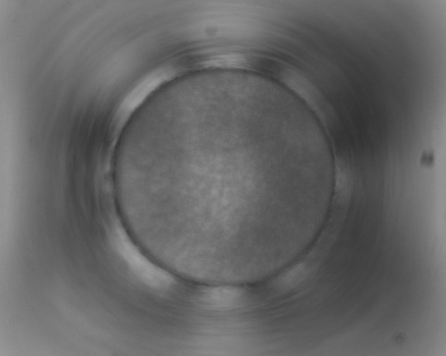 X0000113951090200910161934
