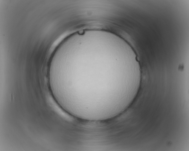 X0000113951091200910161934