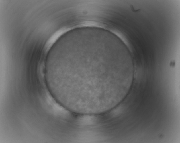 X0000113951094200910161933