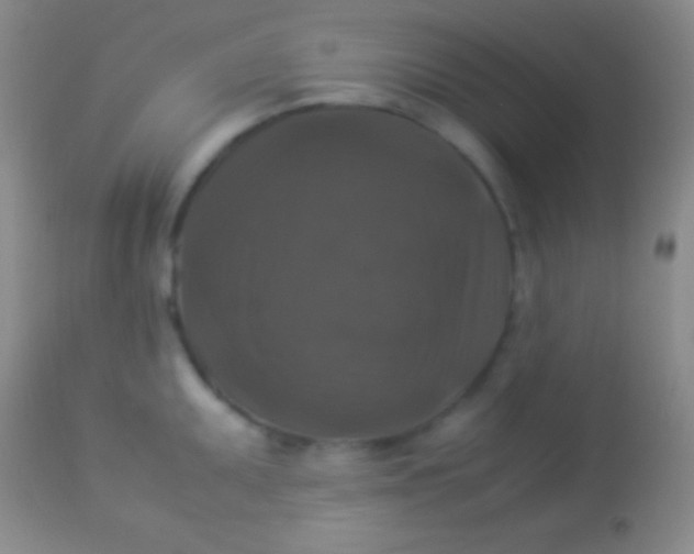X0000113951095200910161933