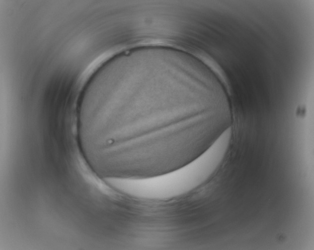 X0000113951096200910161933