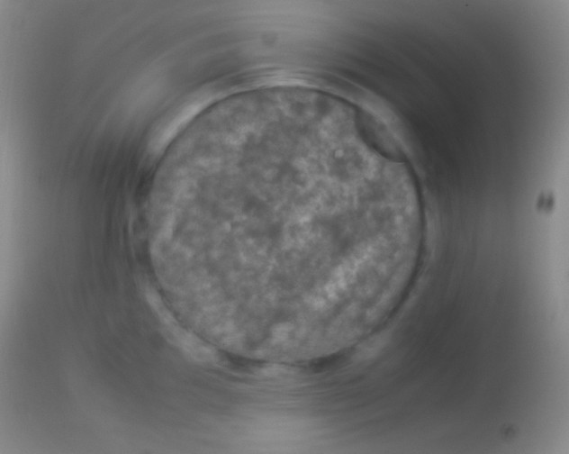 X0000113951097200910161933