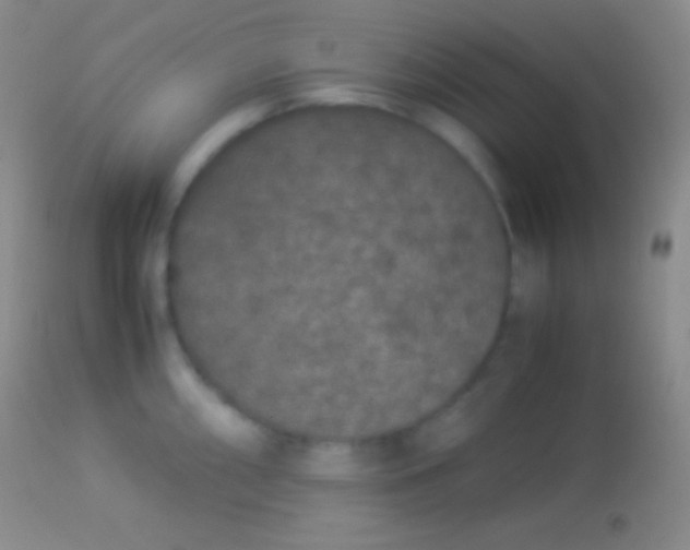 X0000113951098200910161933