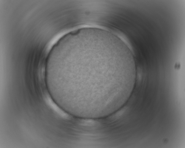 X0000113951100200910161933