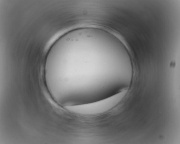 X0000113951101200910161933