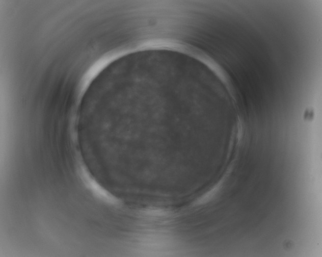 X0000113951102200910161933