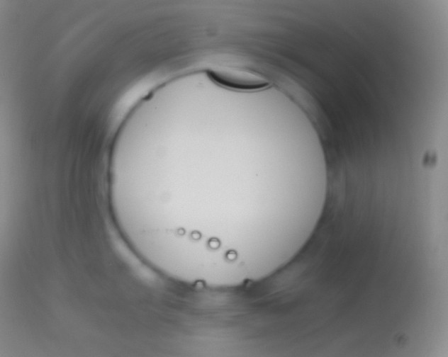 X0000113951103200910161933