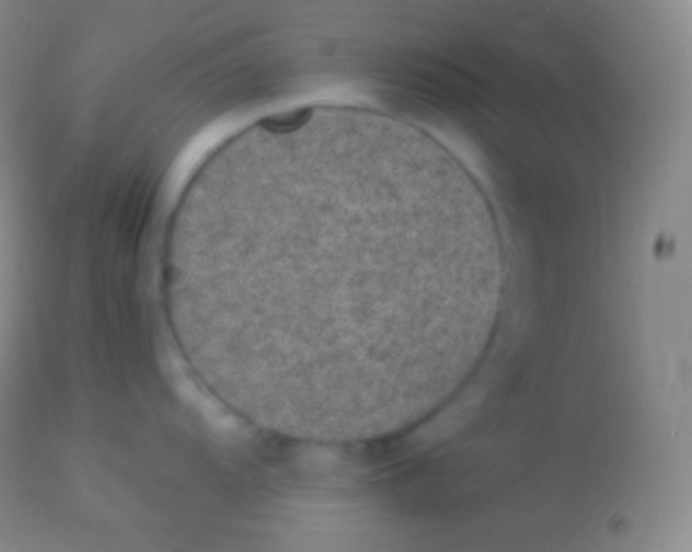 X0000113951104200910161933