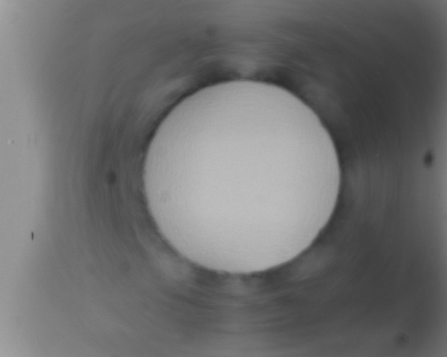 X0000113951105200910161933