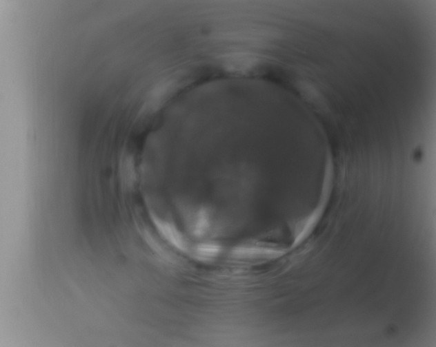 X0000113951106200910161933