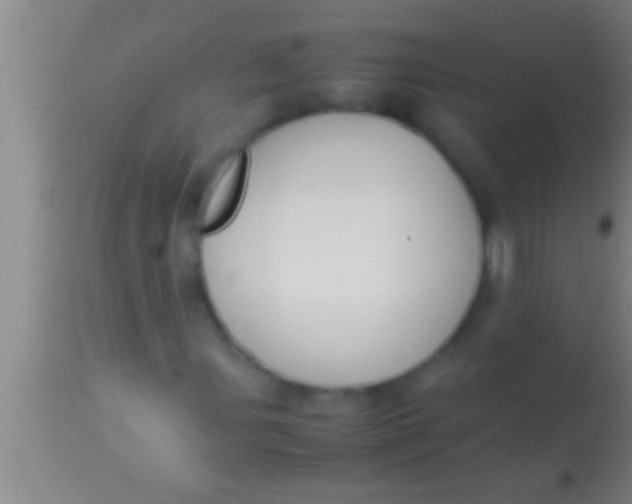 X0000113951107200910161933