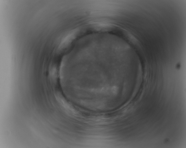 X0000113951108200910161933