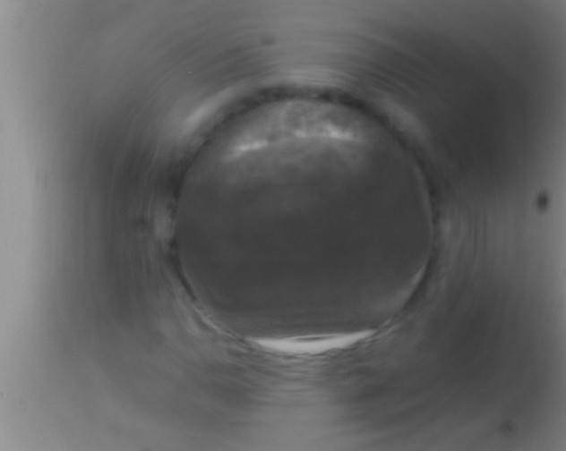 X0000113951110200910161933