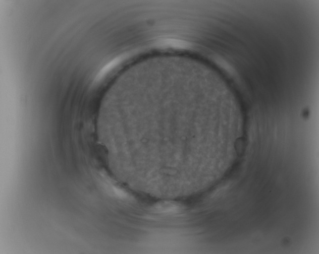 X0000113951112200910161933