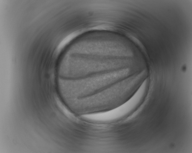 X0000113951114200910161933