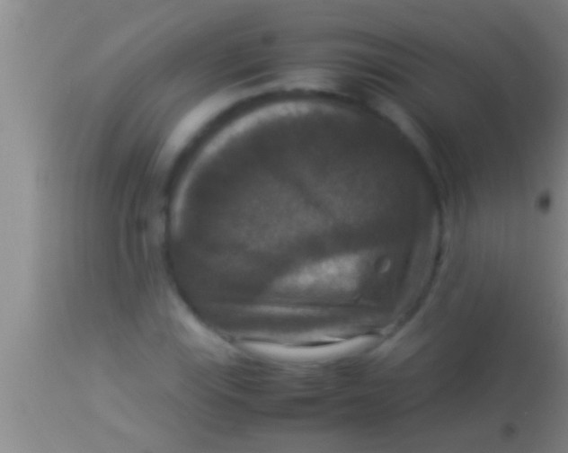 X0000113951115200910161933