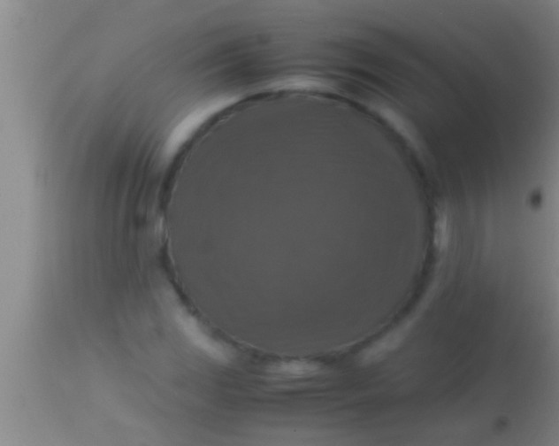 X0000113951117200910161933