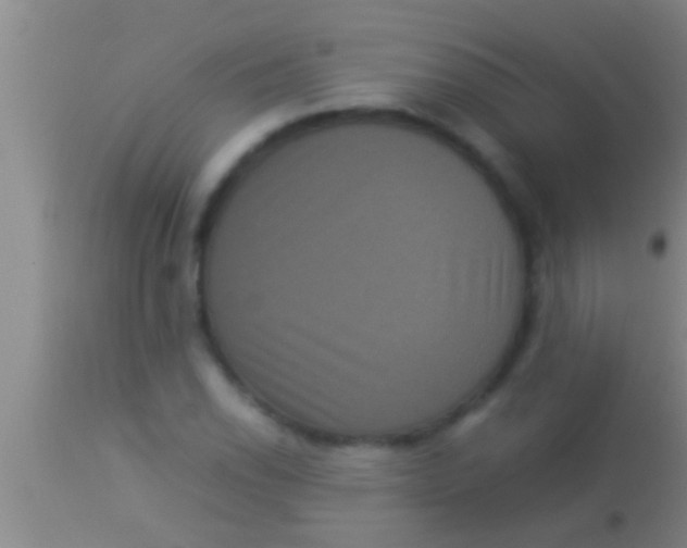 X0000113951118200910161933