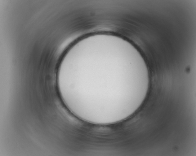 X0000113951119200910161933