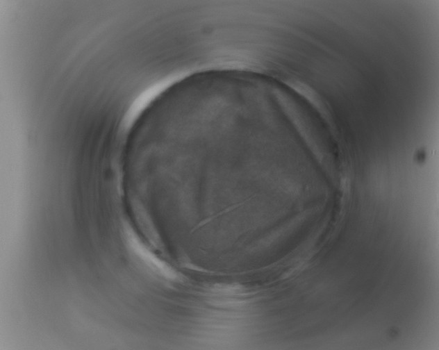X0000113951120200910161933