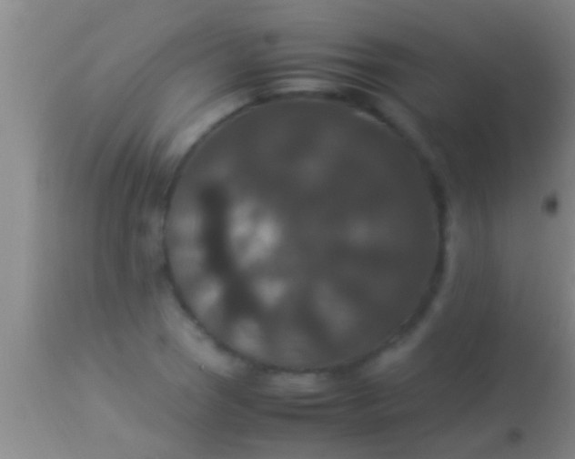 X0000113951121200910161933