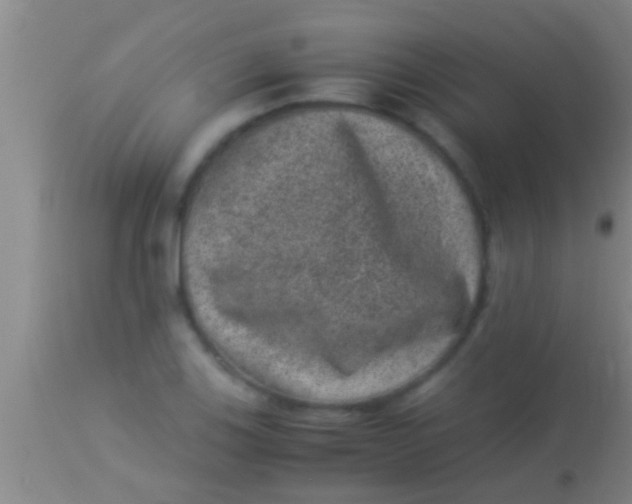 X0000113951123200910161933