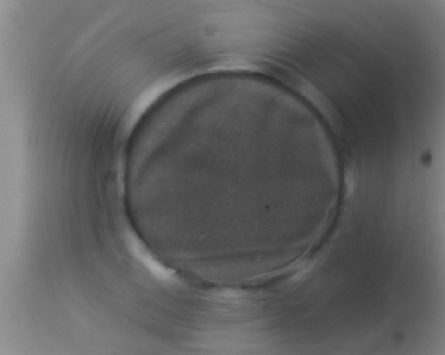 X0000113951124200910161933