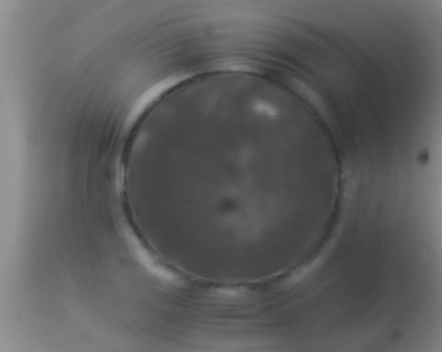 X0000113951125200910161933