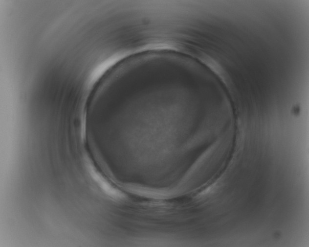 X0000113951127200910161933