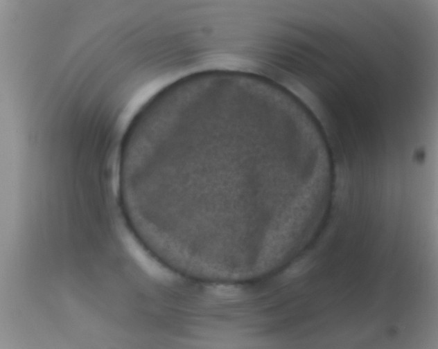 X0000113951128200910161933