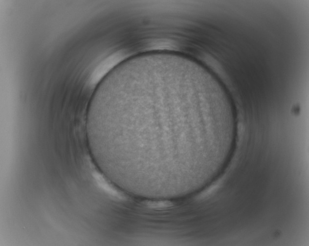 X0000113951129200910161933
